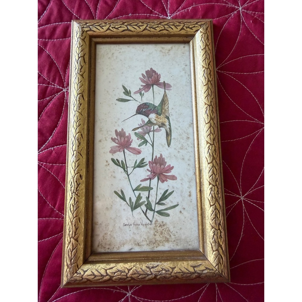 Carolyn Shores Wright Hummingbird Flower Print Framed Art Vintage Gold Frame